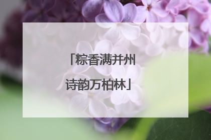 粽香满并州 诗韵万柏林