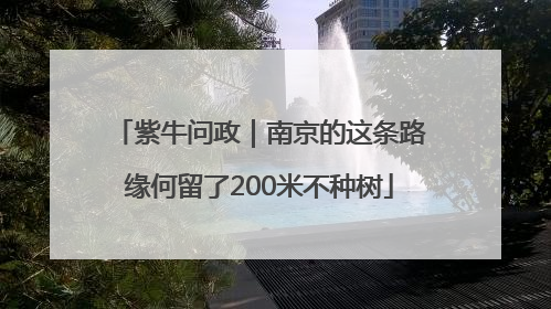 紫牛问政｜南京的这条路缘何留了200米不种树