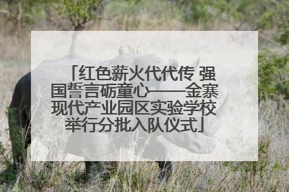 红色薪火代代传 强国誓言砺童心——金寨现代产业园区实验学校举行分批入队仪式