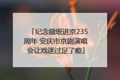 纪念徽班进京235周年 安庆市京剧演唱会让戏迷过足了瘾