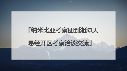 纳米比亚考察团到湘潭天易经开区考察洽谈交流
