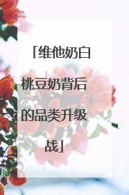 维他奶白桃豆奶背后的品类升级战