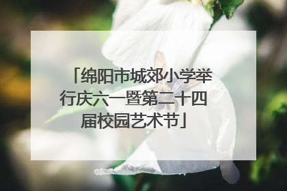 绵阳市城郊小学举行庆六一暨第二十四届校园艺术节