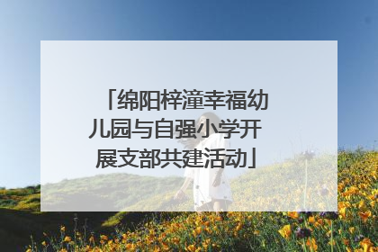 绵阳梓潼幸福幼儿园与自强小学开展支部共建活动