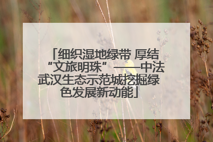 细织湿地绿带 厚结“文旅明珠”——中法武汉生态示范城挖掘绿色发展新动能