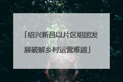 绍兴新昌以片区组团发展破解乡村运营难题