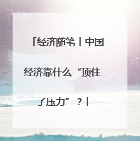 经济随笔丨中国经济靠什么“顶住了压力”？