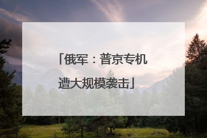 俄军：普京专机遭大规模袭击
