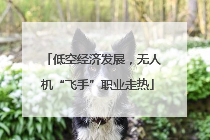 低空经济发展，无人机“飞手”职业走热