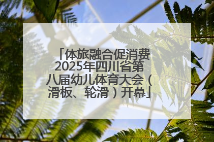 体旅融合促消费 2025年四川省第八届幼儿体育大会（滑板、轮滑）开幕