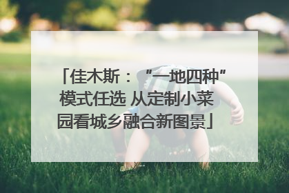佳木斯：“一地四种” 模式任选 从定制小菜园看城乡融合新图景