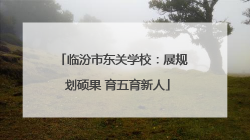 临汾市东关学校：展规划硕果 育五育新人