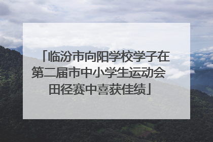 临汾市向阳学校学子在第二届市中小学生运动会田径赛中喜获佳绩