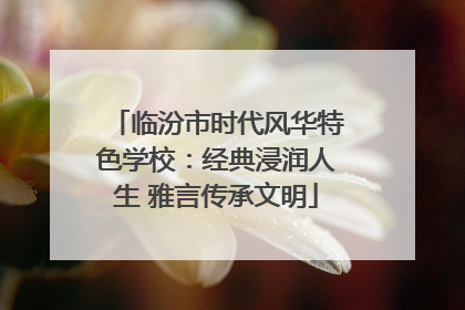 临汾市时代风华特色学校：经典浸润人生 雅言传承文明