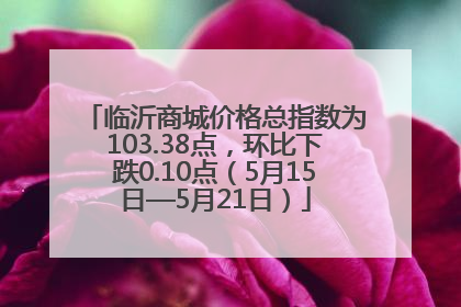 临沂商城价格总指数为103.38点，环比下跌0.10点（5月15日—5月21日）