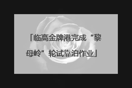 临高金牌港完成“黎母岭”轮试靠泊作业
