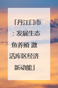 丹江口市：发展生态鱼养殖 激活库区经济新动能
