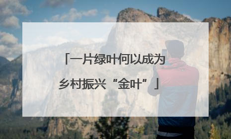 一片绿叶何以成为乡村振兴“金叶”