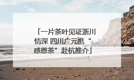 一片茶叶见证浙川情深 四川广元携“感恩茶”赴杭推介