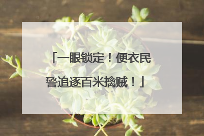一眼锁定！便衣民警追逐百米擒贼！