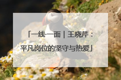 一线·一面｜王晓芹：平凡岗位的坚守与热爱
