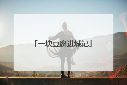 一块豆腐进城记
