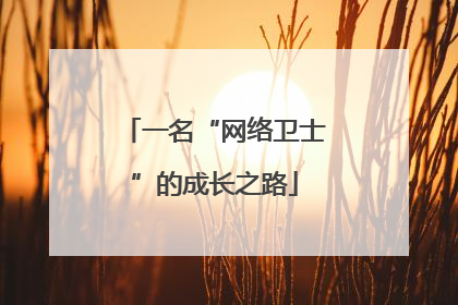 一名“网络卫士”的成长之路