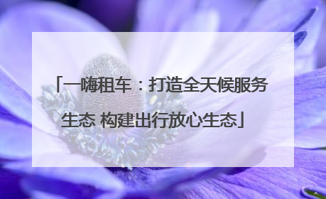 一嗨租车：打造全天候服务生态 构建出行放心生态