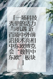 一场科技秀里的活力与机遇 近百项中外前沿技术亮相中东欧博览会“数智中东欧”板块
