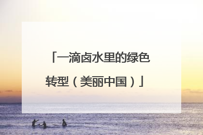 一滴卤水里的绿色转型（美丽中国）