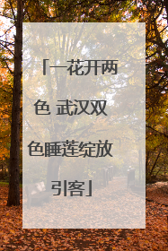 一花开两色 武汉双色睡莲绽放引客