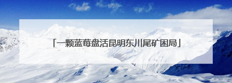 一颗蓝莓盘活昆明东川尾矿困局