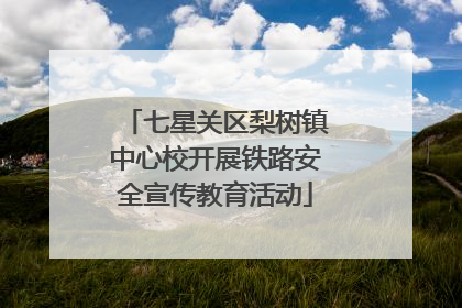 七星关区梨树镇中心校开展铁路安全宣传教育活动