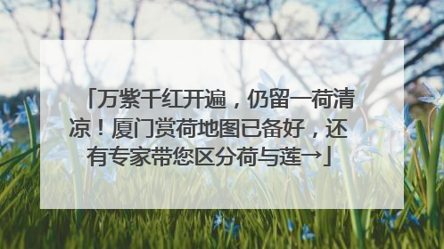 万紫千红开遍，仍留一荷清凉！厦门赏荷地图已备好，还有专家带您区分荷与莲→