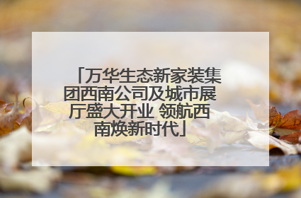 万华生态新家装集团西南公司及城市展厅盛大开业 领航西南焕新时代
