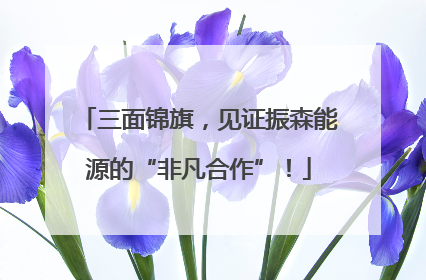 三面锦旗，见证振森能源的“非凡合作”！