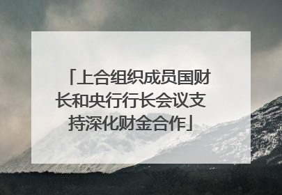 上合组织成员国财长和央行行长会议支持深化财金合作