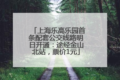 上海乐高乐园首条配套公交线路明日开通：途经金山北站，票价1元