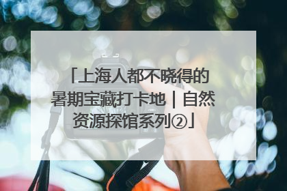 上海人都不晓得的 暑期宝藏打卡地｜自然资源探馆系列②