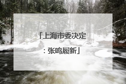 上海市委决定：张鸣履新