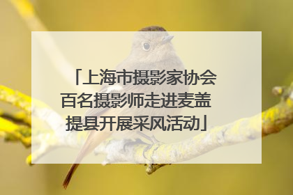 上海市摄影家协会百名摄影师走进麦盖提县开展采风活动