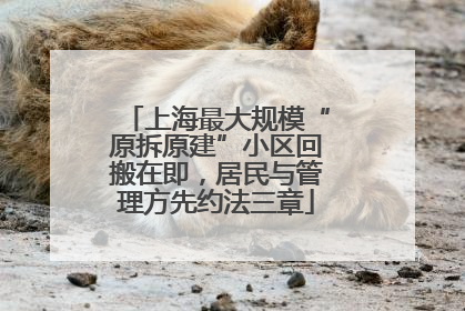 上海最大规模“原拆原建”小区回搬在即，居民与管理方先约法三章