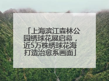 上海滨江森林公园绣球花展启幕，近5万株绣球花海打造治愈系画面