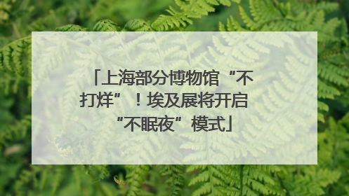上海部分博物馆“不打烊”！埃及展将开启“不眠夜”模式