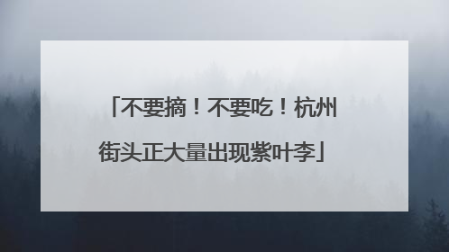 不要摘！不要吃！杭州街头正大量出现紫叶李