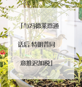 与冯德莱恩通话后 特朗普同意推迟加税