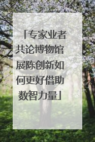 专家业者共论博物馆展陈创新如何更好借助数智力量