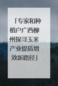 专家和种植户广西柳州探寻玉米产业提质增效新路径