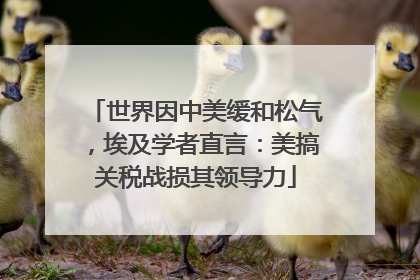 世界因中美缓和松气，埃及学者直言：美搞关税战损其领导力