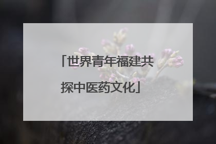 世界青年福建共探中医药文化